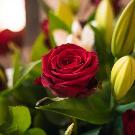 Apartamento Le Calypso Jolie T2 Centre De